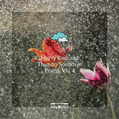 Heavy Rain and Thunder Sounds in Forest, Vol. 4