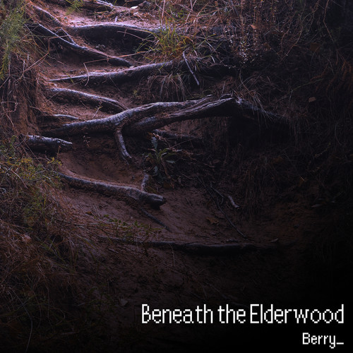 Beneath the Elderwood