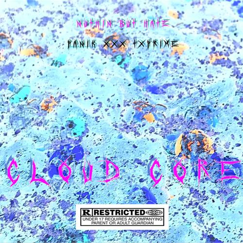 Nuthin'But Hate (Demo) [Explicit]