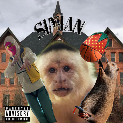 S1M1AN (Explicit)