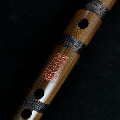 抖音合集
