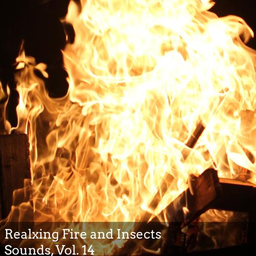 Realxing Fire and Insects Sounds, Vol. 14