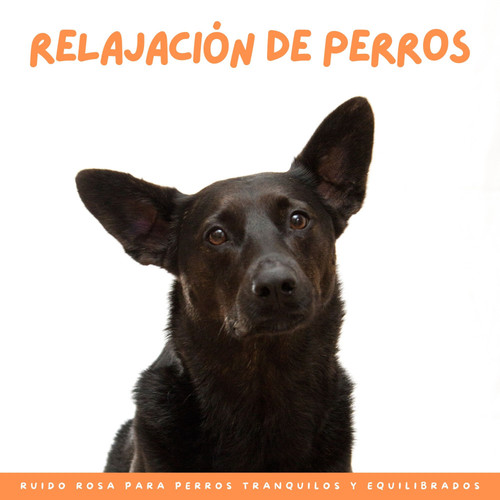 Relajación De Perros: Ruido Rosa Para Perros Tranquilos Y Equilibrados