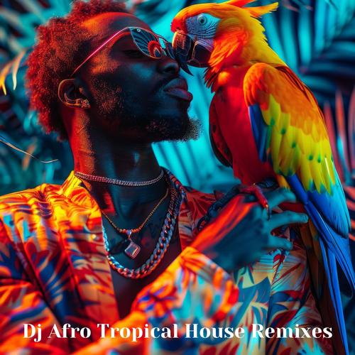 Dj Afro Tropical House Remixes