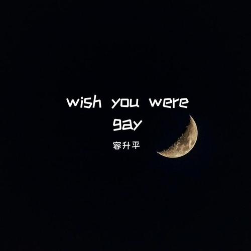 wish you were gay (弹唱）