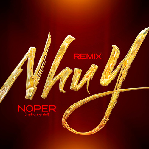 Nhu Y Remix (Instrumental)