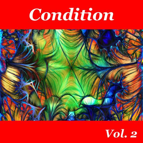 Condition, Vol. 2