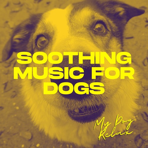 Soothing Music for Dogs: Gentle Sounds for Dog Stress Relief, Sleep Enhancement, Pet Relaxation and Aid to Calm Restive Dogs