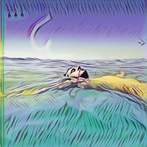 南方的光