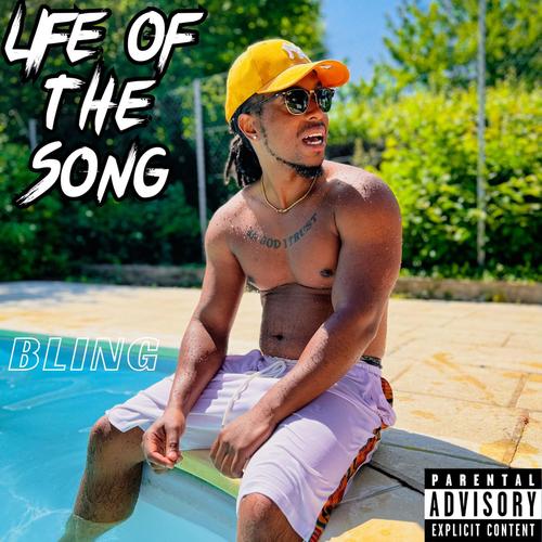 Life of The Song (Explicit)