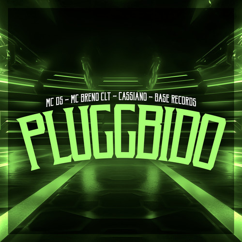 Pluggbido