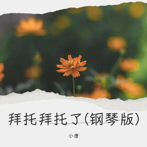拜托拜托了(钢琴版)