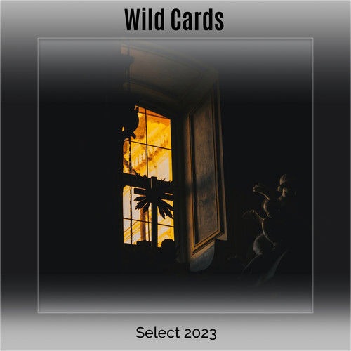 Wild Cards