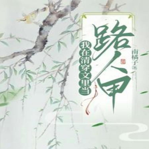 我在清穿文里当路人甲