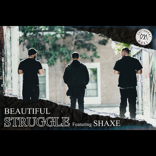 Beautiful Struggle (Explicit)