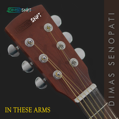In These Arms