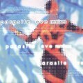 寄生前夜(Parasite Eve Remixes)