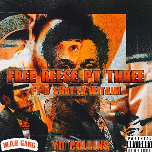 Free Reese, Pt. 3 (feat. D Shotta WitAim) [Explicit]