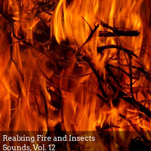 Realxing Fire and Insects Sounds, Vol. 12