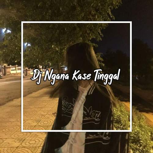 Dj Ngana Kase Tinggal X Aku Suka Body (INS)