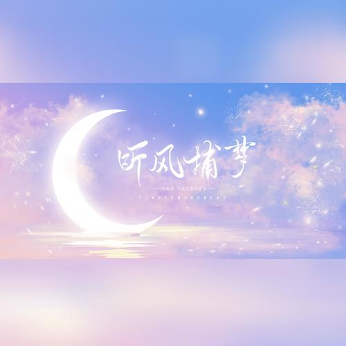 【27p】2021~听风捕梦~