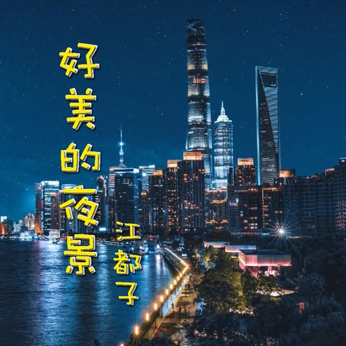 好美的夜景