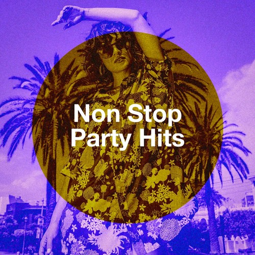 Non Stop Party Hits