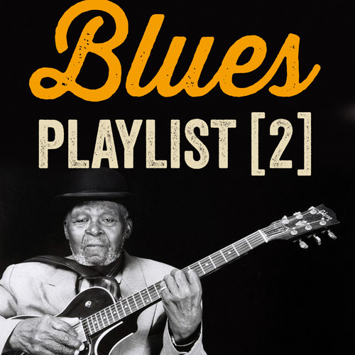 Blues Playlist, Vol. 2