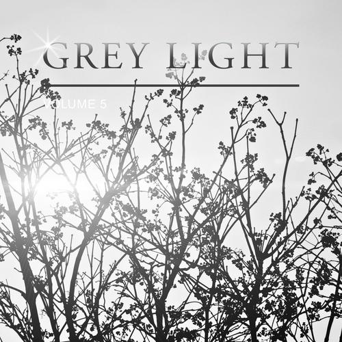 Grey Light, Vol. 5