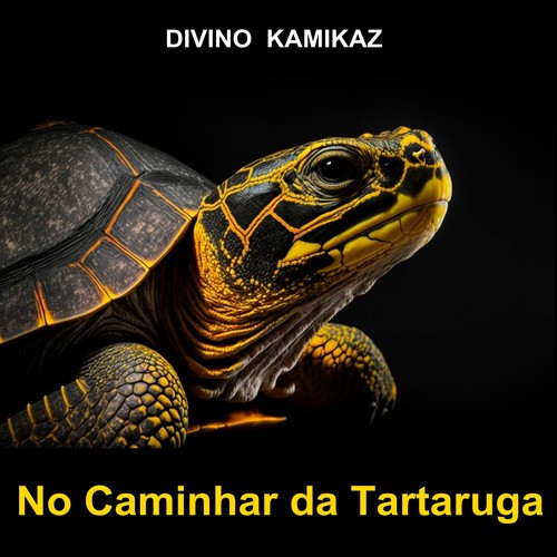 No Caminhar da Tartaruga (Explicit)