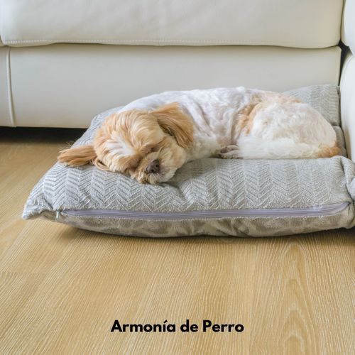 Armonía de Perro