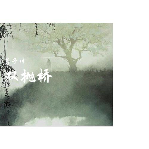 双抛桥
