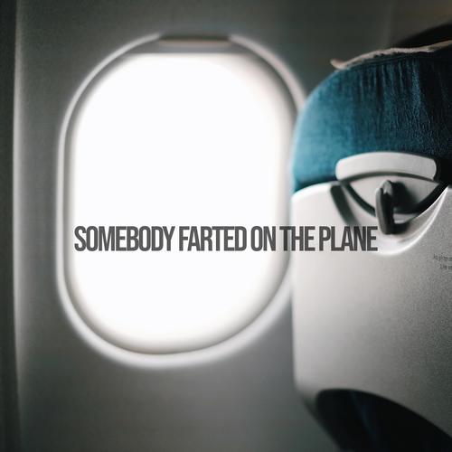 Somebody Farted On The Plane (Explicit)