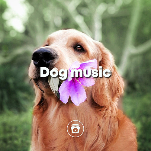 Dog Music