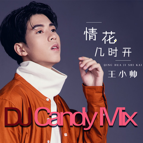 情花几时开 (男版djcandy Mix)