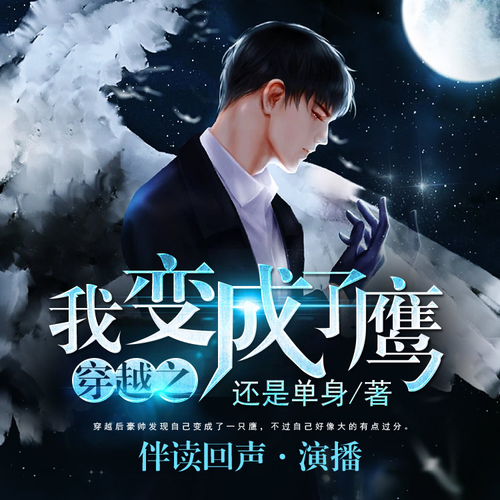 穿越之我变成了鹰 第239集 - 一点声工场