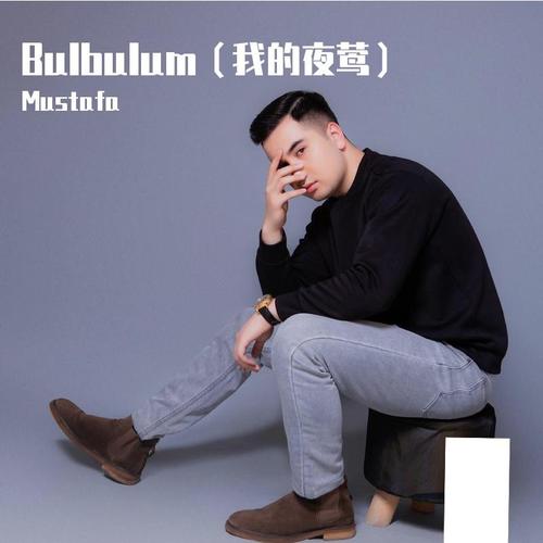 Bulbulum（我的夜莺）