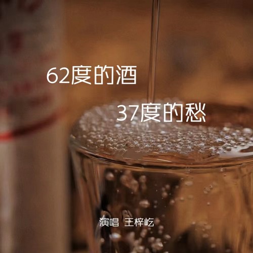 62度的酒37度的愁