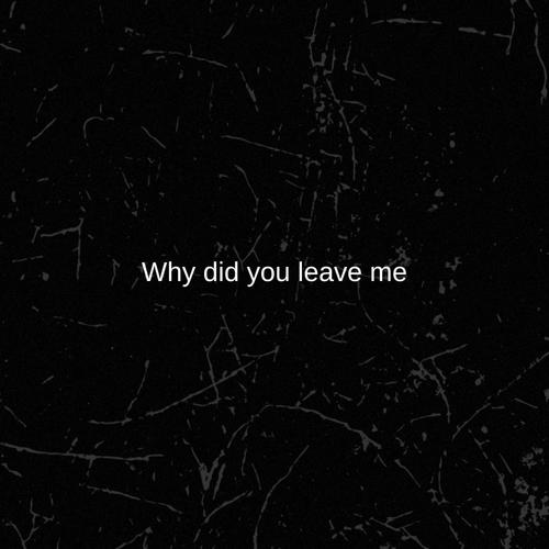 Why Did You Leave Me? (Explicit)