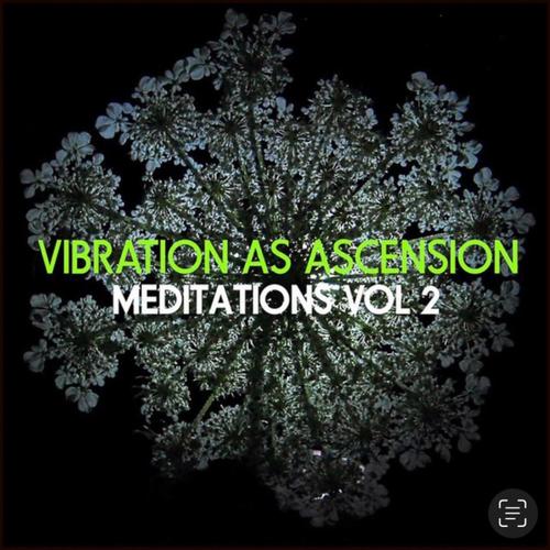 Vibration as Ascension, Vol. 2