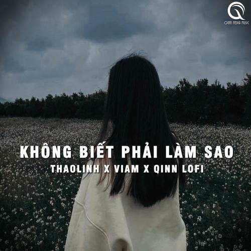 Không Biết Phải Làm Sao (Lofi Ver.)