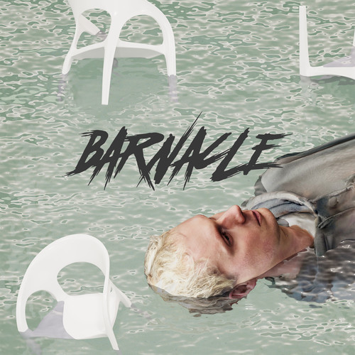 Barnacle