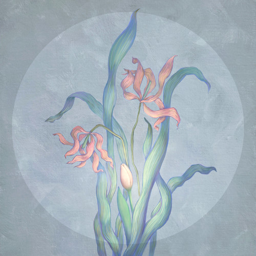 백야 (White night)