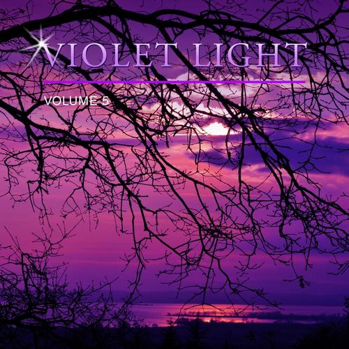 Violet Light, Vol. 5