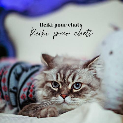 Reiki pour chats : musique de zoothérapie pour une relaxation profonde