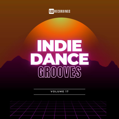 Indie Dance Grooves, Vol. 17