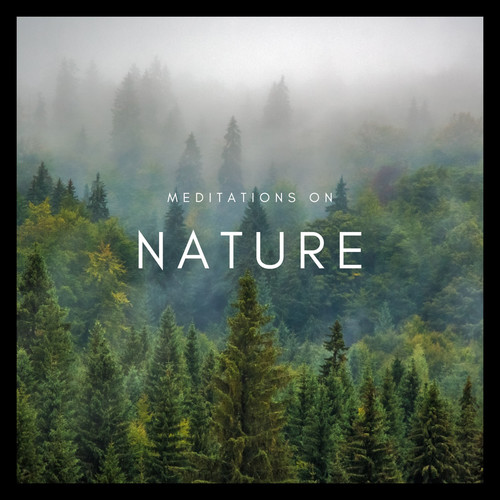 Meditations on Nature