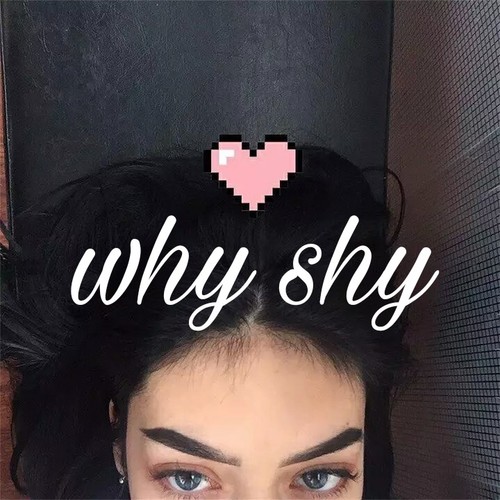 WHY SHY(remix)