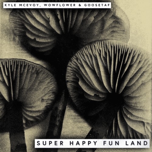 Super Happy Fun Land