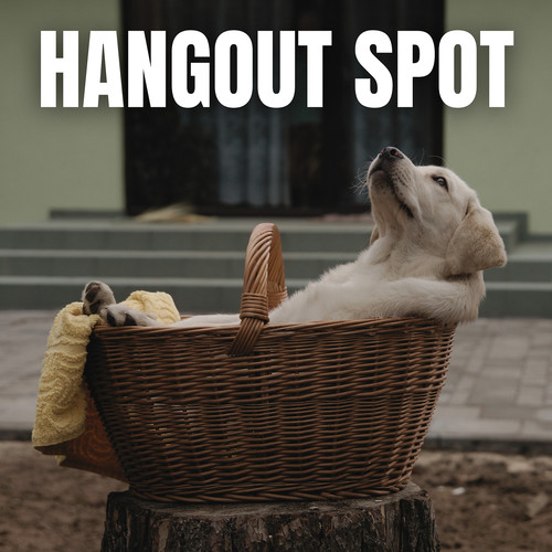 Hangout Spot